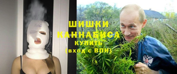 бошки Богданович