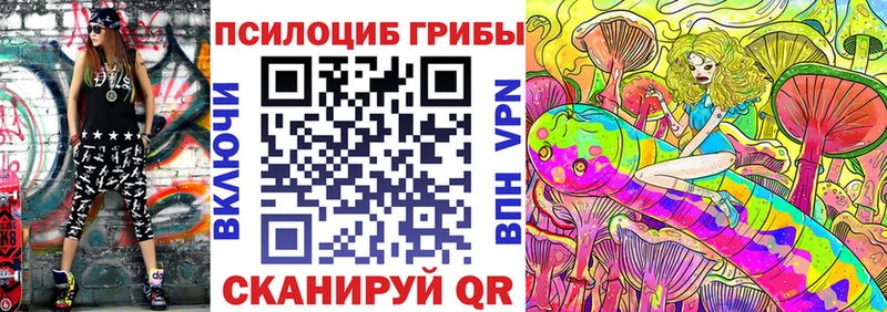 Галлюциногенные грибы GOLDEN TEACHER  Купить  Михайловск 